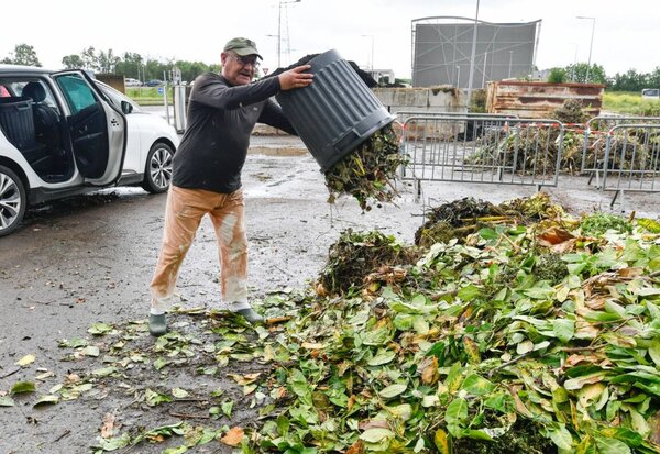 Déchets verts