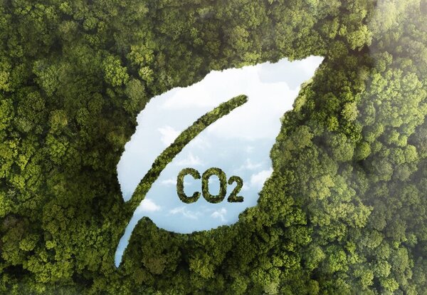 Canopée forestière avec une découpe en forme de feuille révélant un ciel bleu et l'inscription CO2