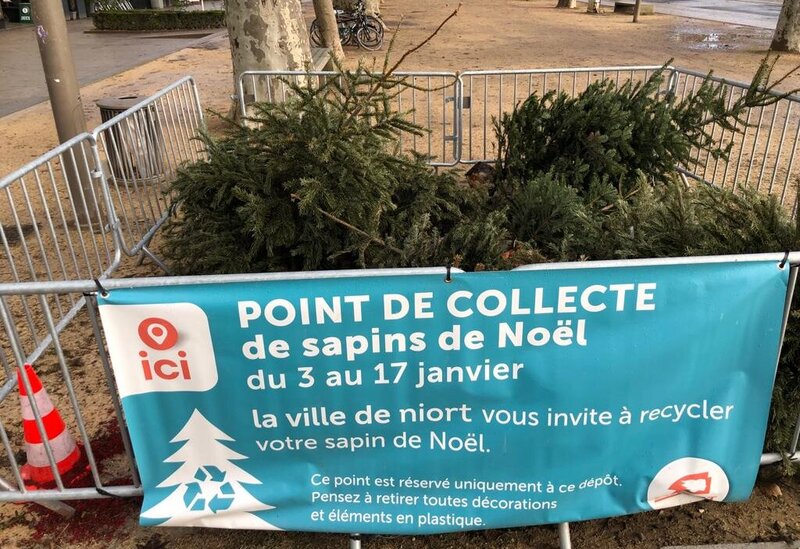 Sapin
