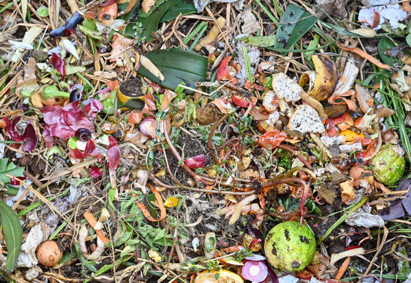 Épluchures de légumes, pelures de fruits et feuilles en décomposition mêlées dans un tas de compost.