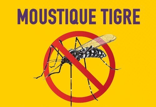 Infographie : 6 gestes à adopter dans les cimetières pour limiter la prolifération du moustique tigre.