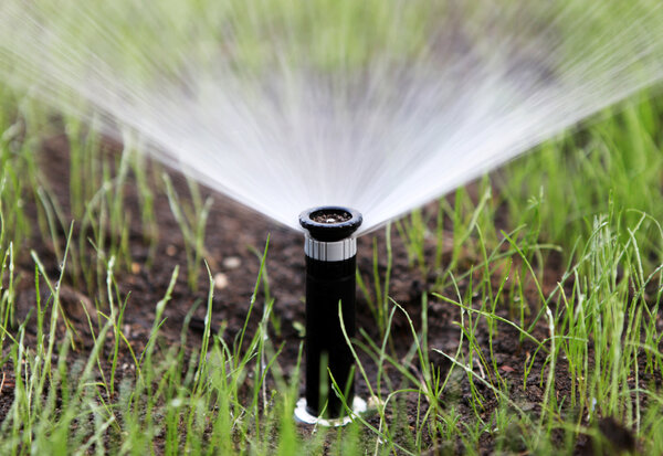 Tête d'arrosage automatique en fonctionnement, diffusant de l'eau en éventail sur une pelouse