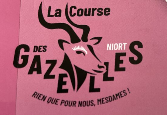 illustration de la manifestation 