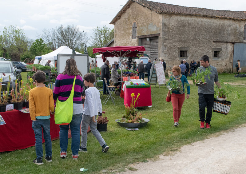 Printemps aux jardins : Cultivons demain