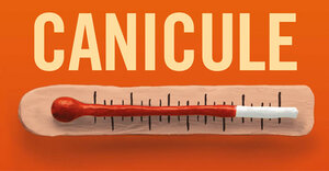 Canicule