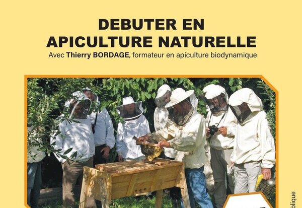 Affiche du stage 2026 animé par Thierry Bordage, formateur en apiculture biodynamique – contact : formationlerevedesabeilles@gmail.com