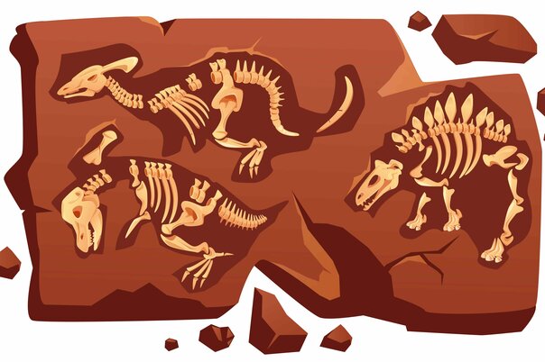 Illustration de la manifestation Atelier : Le secret des dinosaures