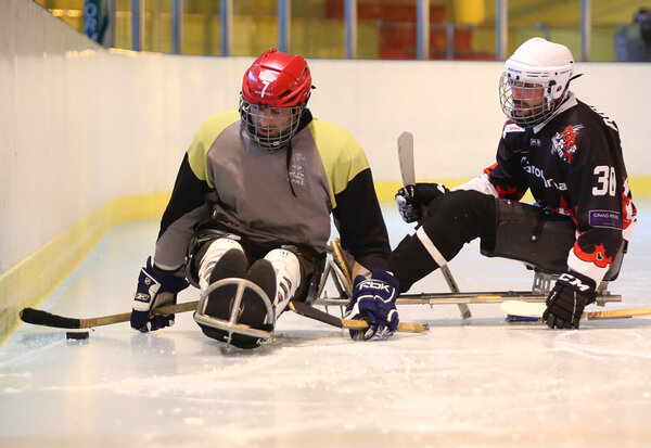 Handi Hockey